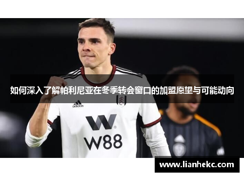 如何深入了解帕利尼亚在冬季转会窗口的加盟愿望与可能动向