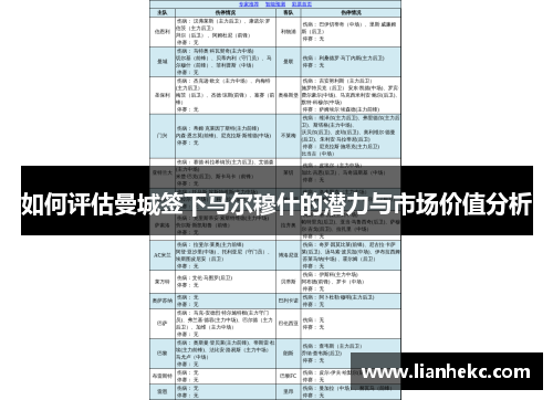 如何评估曼城签下马尔穆什的潜力与市场价值分析